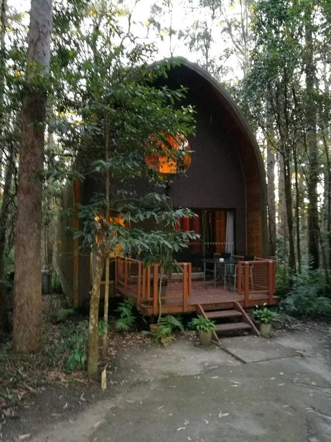 Springbrook Mountain Chalets Εξωτερικό φωτογραφία